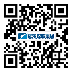 遠東控股集團